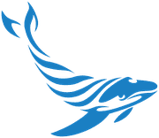 Free Blue Whale